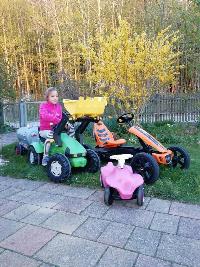 Ferienwohnungenaufdemdorf Nahe Legoland Neuburg an der Kammel Exteriör bild